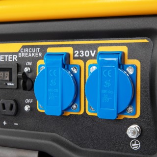 Elektrický generátor WT3800EDF